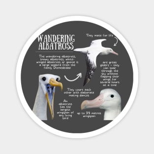 Animal facts - Wandering Albatross Magnet